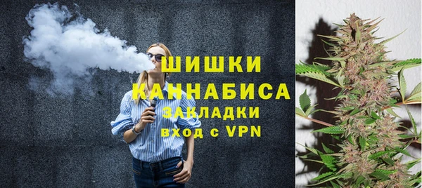 сатива Долгопрудный