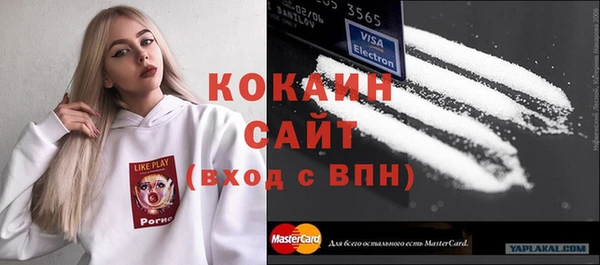 сатива Долгопрудный