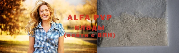 спиды Новый Уренгой