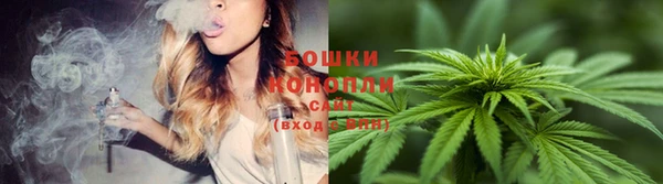 стафф Артём