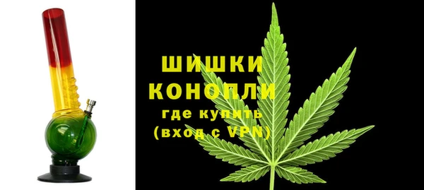 сатива Долгопрудный