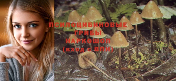 спиды Новый Уренгой