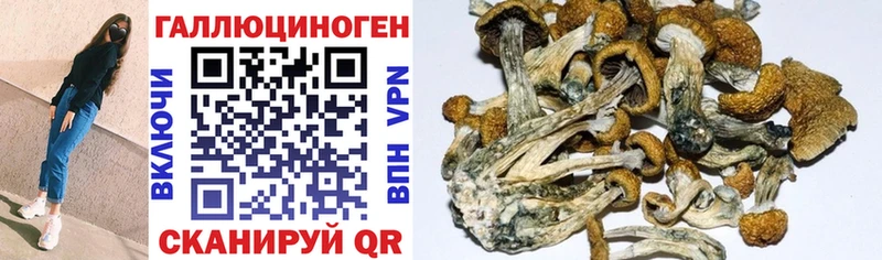 Псилоцибиновые грибы Magic Shrooms хочу маркетплейс телеграм Дудинка