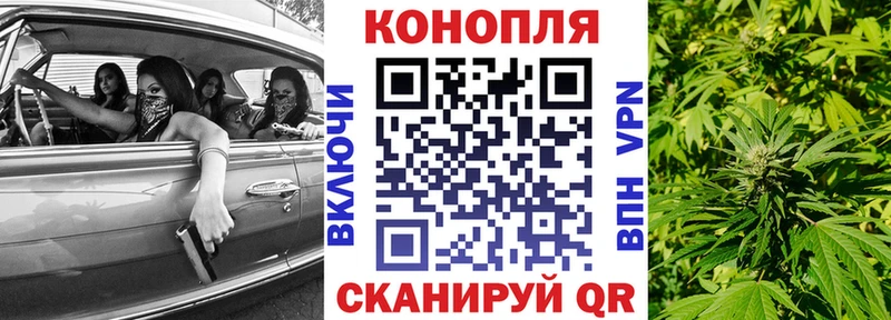 Конопля индика Дудинка